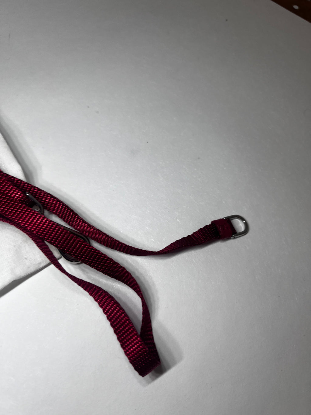 Prada Mini Crossbody Bag - Rot